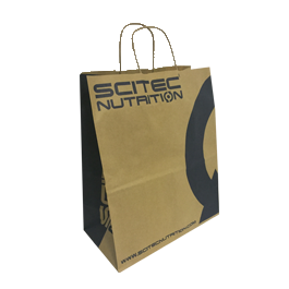 Paper Bag Small 2017