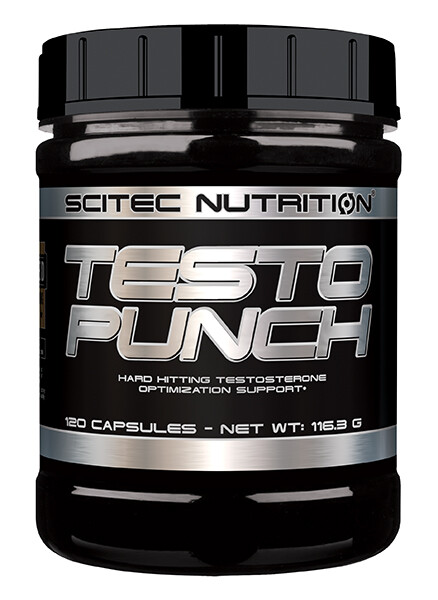 Testo Punch