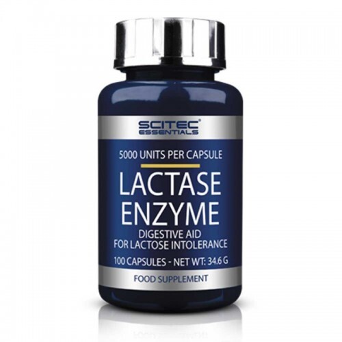 Lactase Enzyme